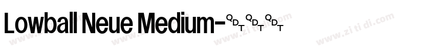 Lowball Neue Medium字体转换